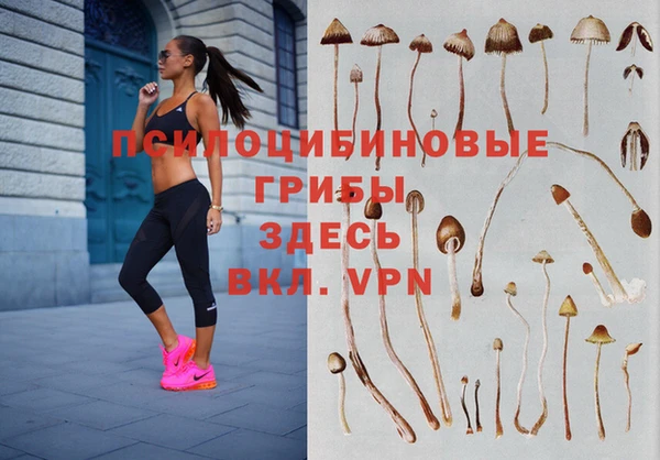 молекула духа Абинск