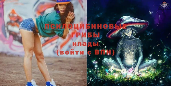 молекула духа Абинск